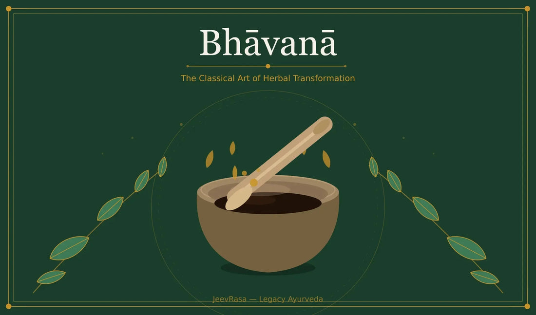 What Is Bhāvanā Process