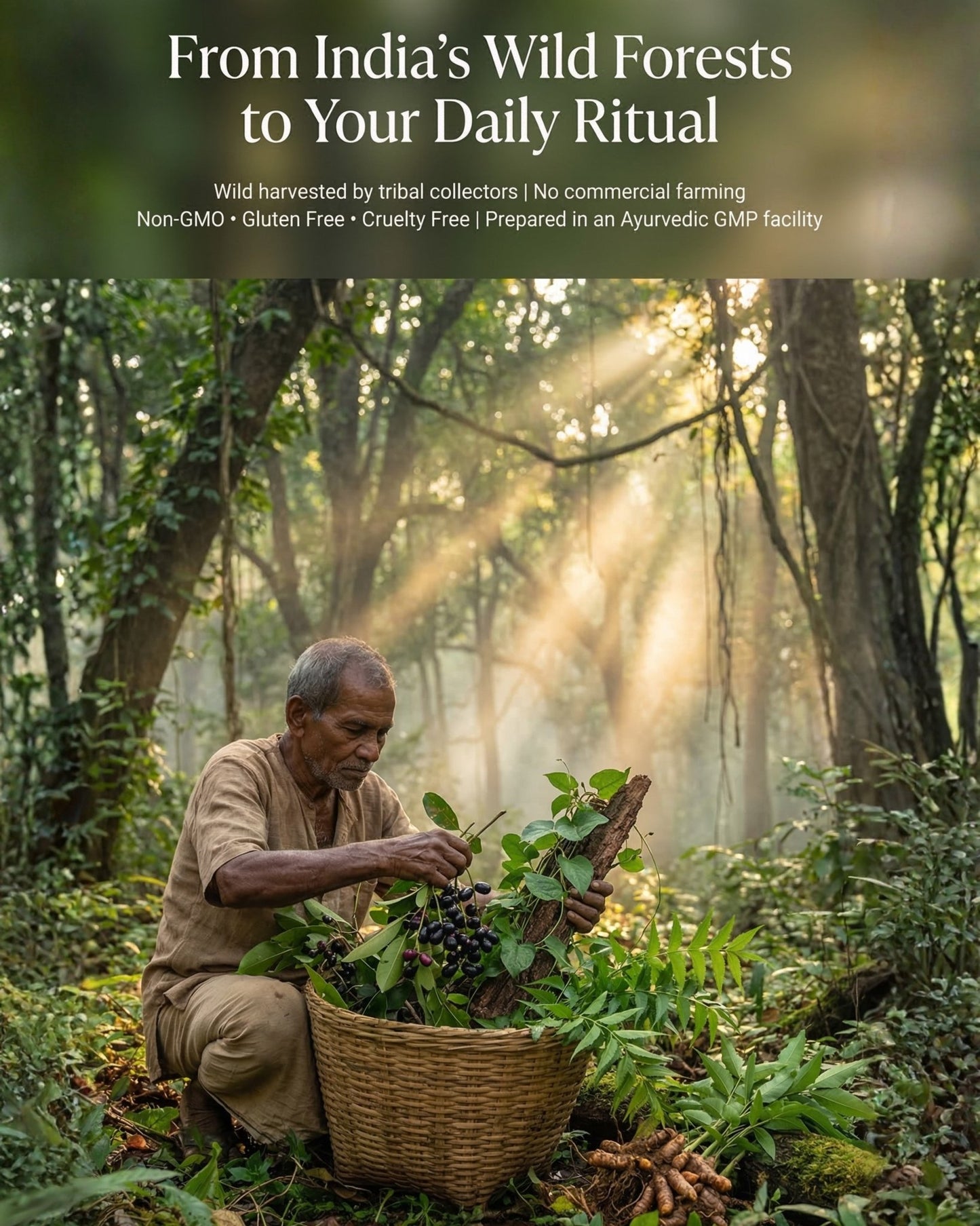 Madhunaśa — Ayurvedic Glucose Balance & Metabolic Support