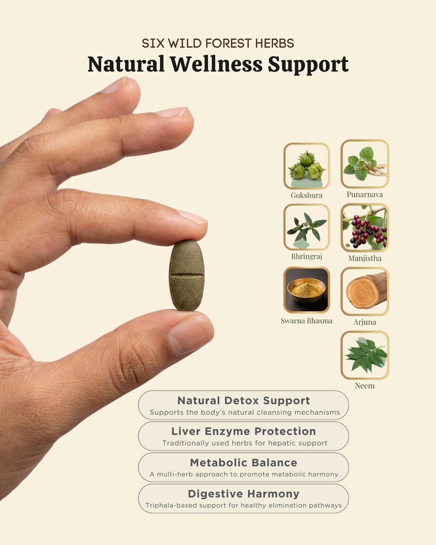 Hand holding a green capsule of Nirmalya detox with 10+wild forest herbs and their benefits on a beige background.