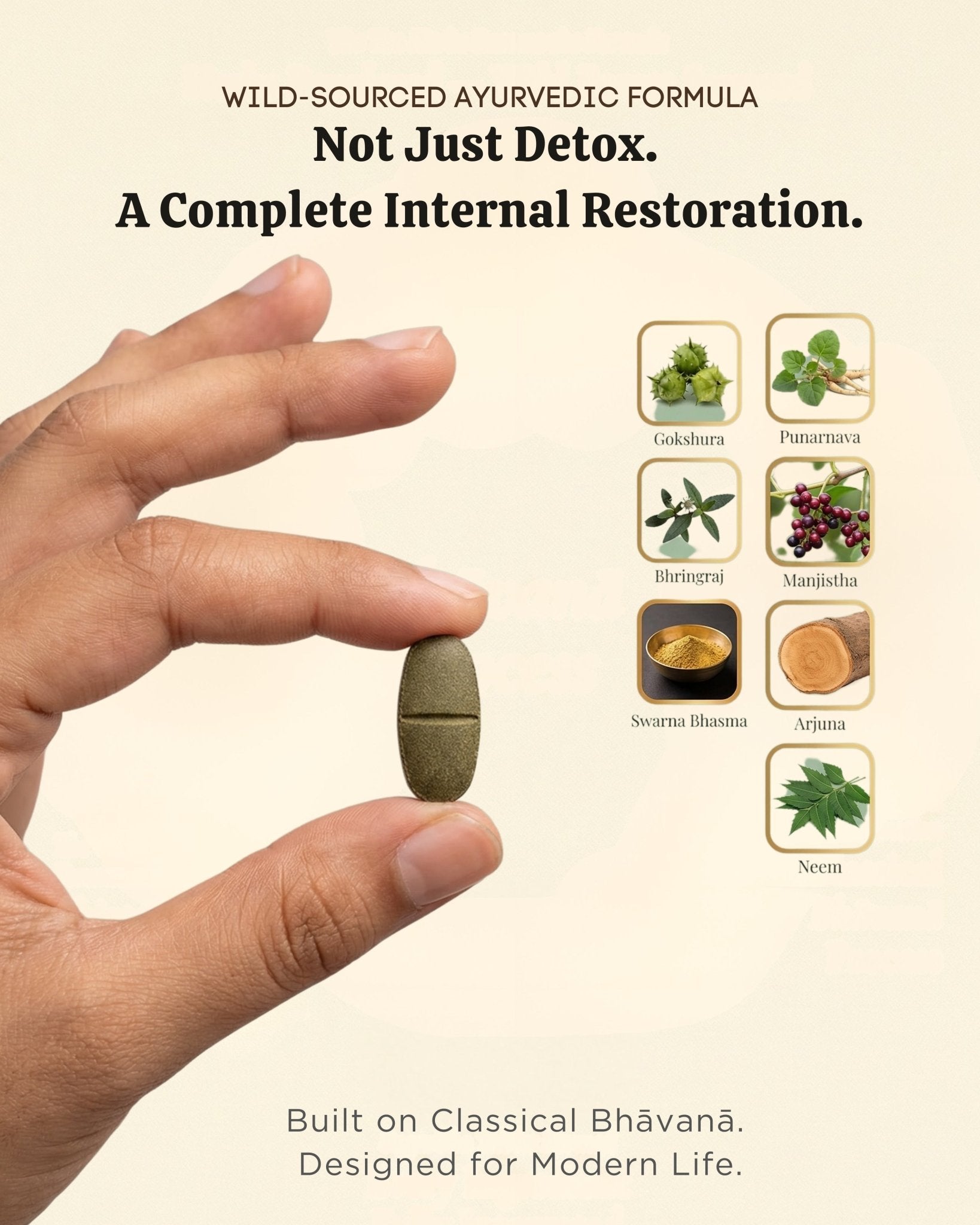 Hand holding a green Ayurvedic tablet with images of herbs and text about a complete internal restoration formula.