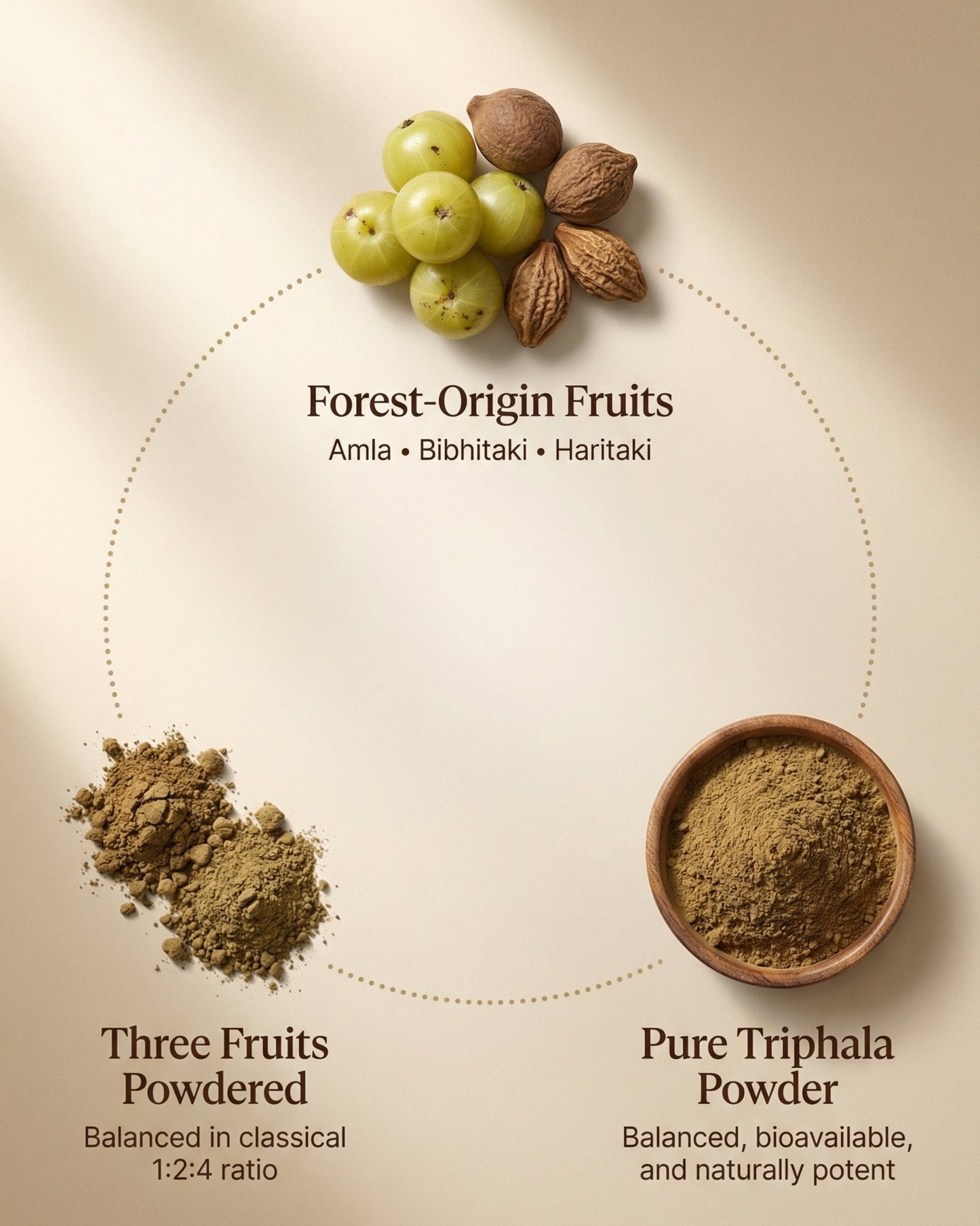 Display of forest-origin fruits and their powdered forms on a beige background