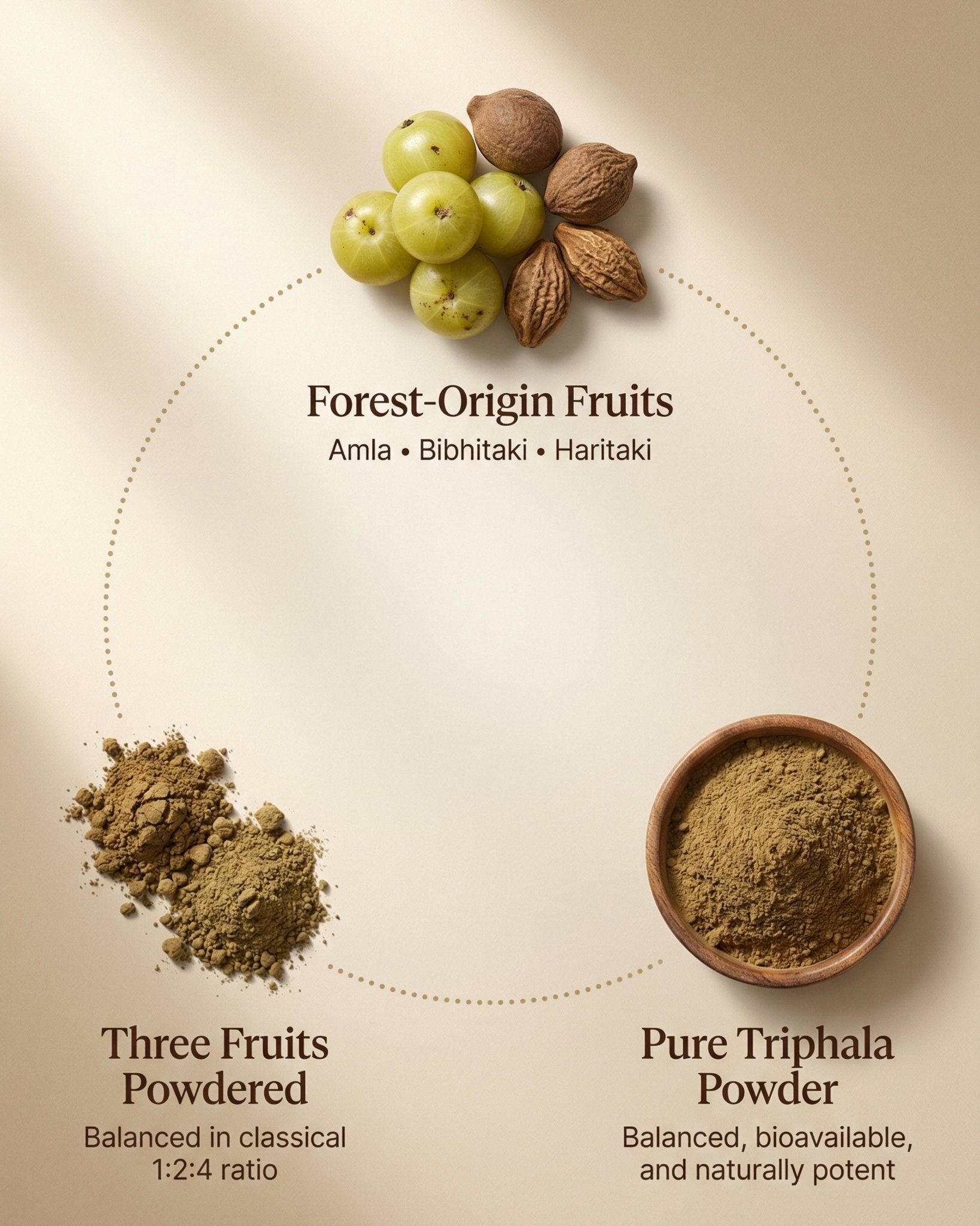 Display of forest-origin fruits and their powdered forms on a beige background