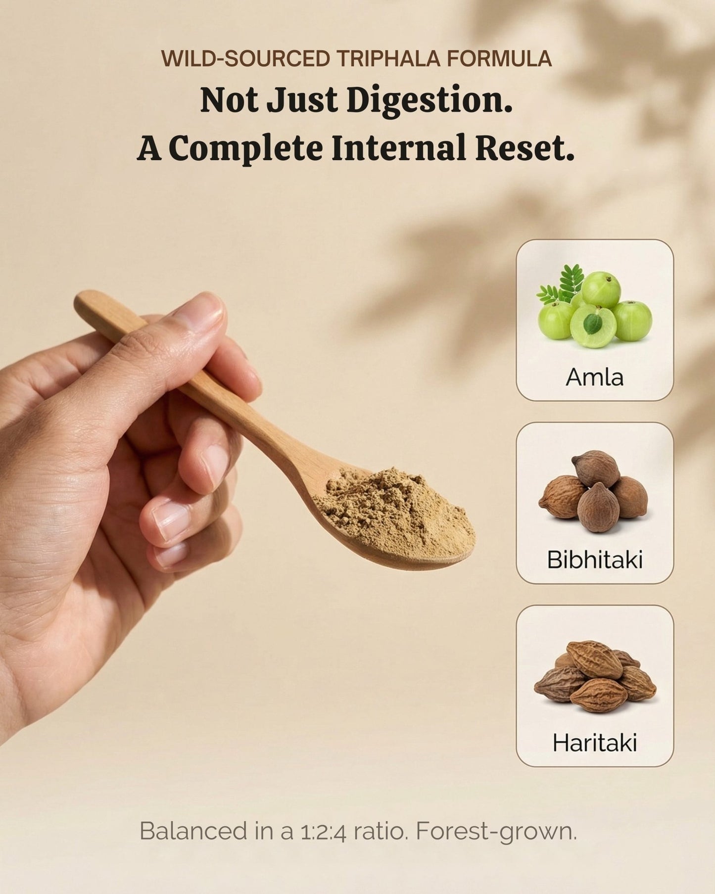 Hand holding a wooden spoon with a powder, surrounded by images of Amla, Bibhitaki, and Haritaki, on a beige background.